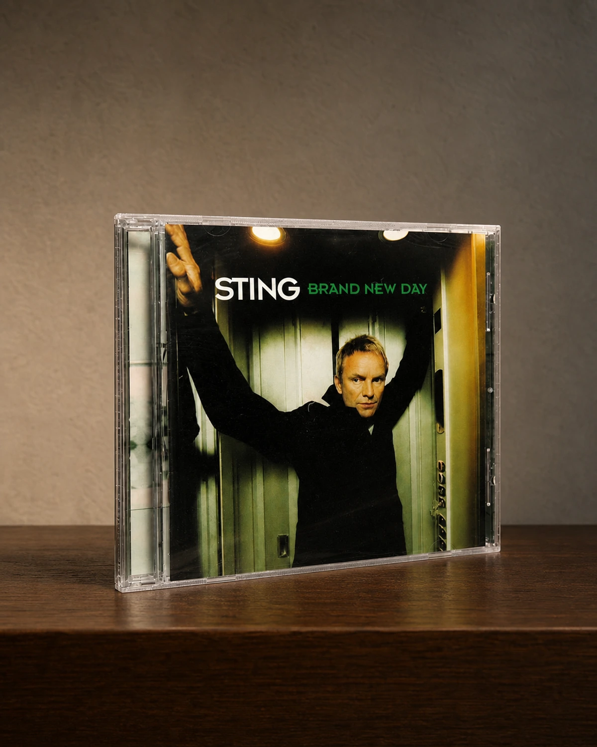 Sting – Brand New Day CD (USA, 1999/2000) — Россия